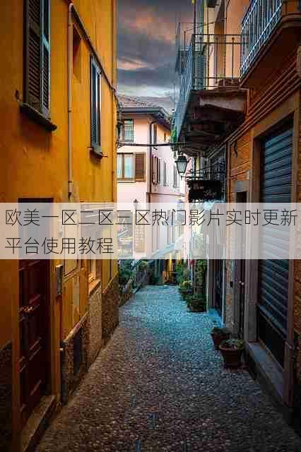 欧美一区二区三区热门影片实时更新平台使用教程