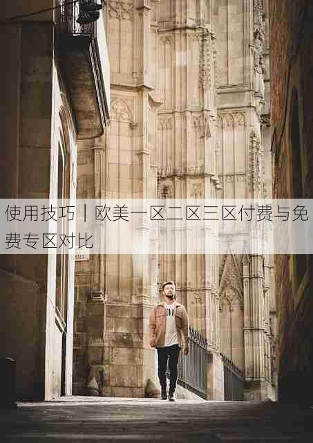 使用技巧|欧美一区二区三区付费与免费专区对比