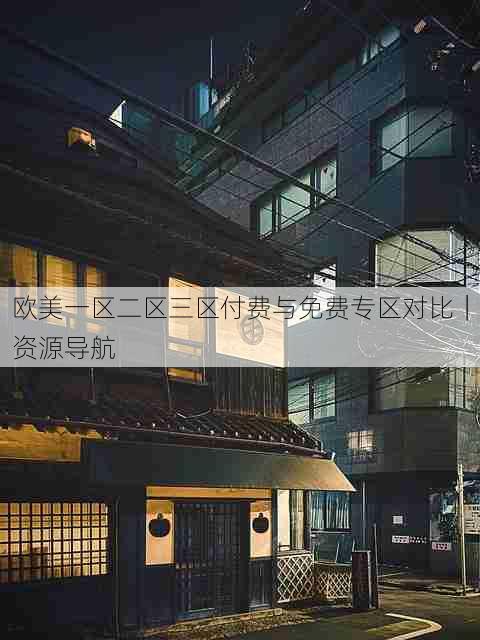 欧美一区二区三区付费与免费专区对比|资源导航