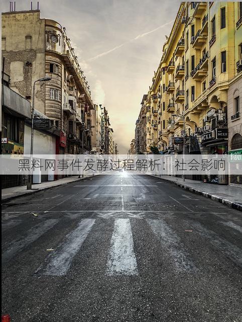 黑料网事件发酵过程解析:社会影响