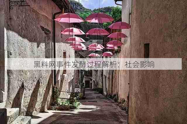 黑料网事件发酵过程解析:社会影响