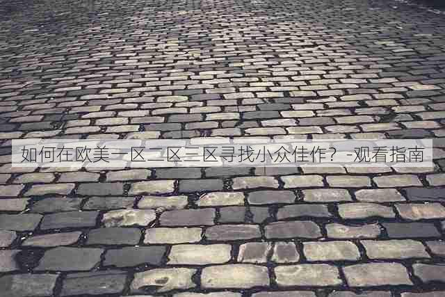 如何在欧美一区二区三区寻找小众佳作?-观看指南