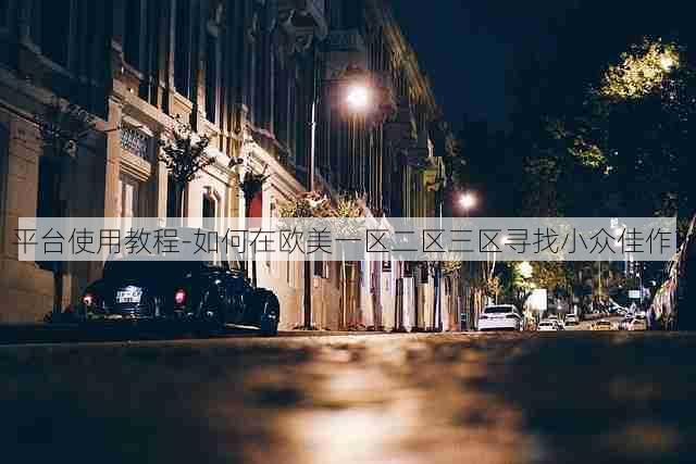 平台使用教程-如何在欧美一区二区三区寻找小众佳作?