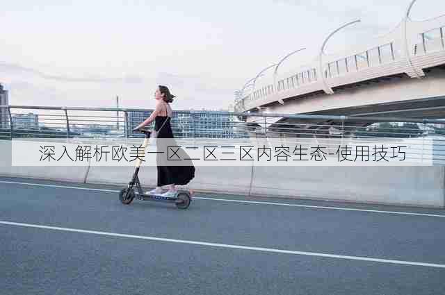 深入解析欧美一区二区三区内容生态-使用技巧