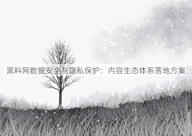 黑料网数据安全与隐私保护:内容生态体系落地方案