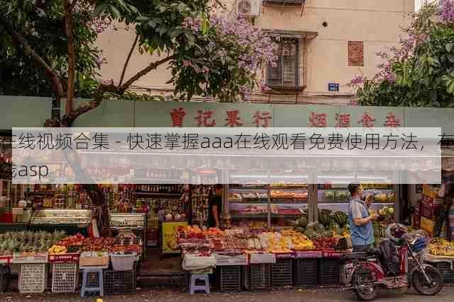 在线视频合集 - 快速掌握aaa在线观看免费使用方法,在线asp