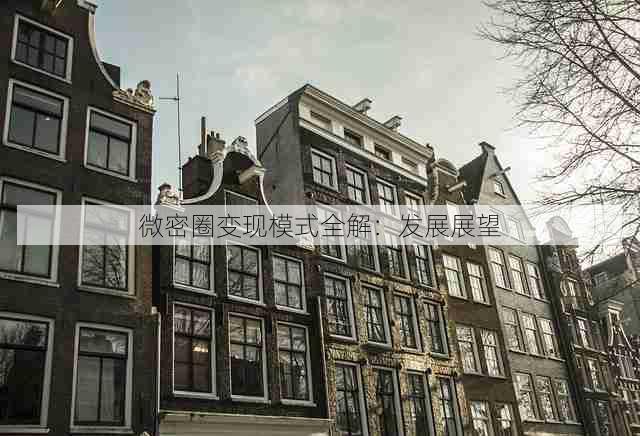 微密圈变现模式全解:发展展望