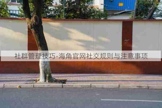 社群管理技巧-海角官网社交规则与注意事项