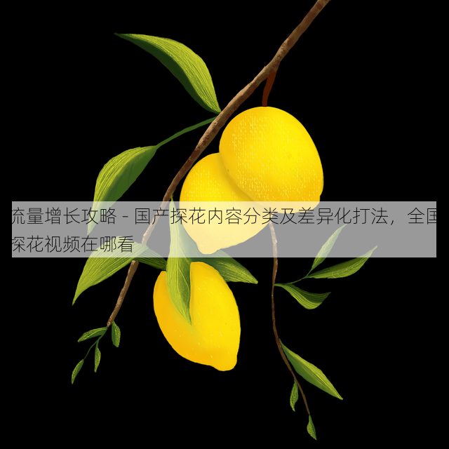 流量增长攻略 - 国产探花内容分类及差异化打法,全国探花视频在哪看