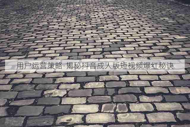 用户运营策略-揭秘抖音成人版短视频爆红秘诀