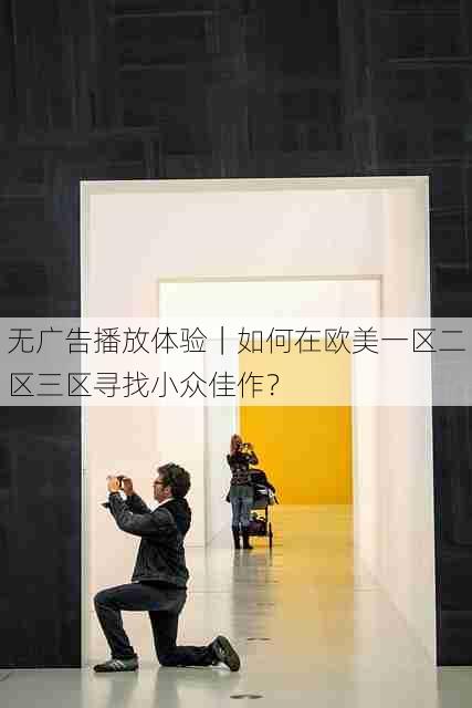 无广告播放体验|如何在欧美一区二区三区寻找小众佳作?