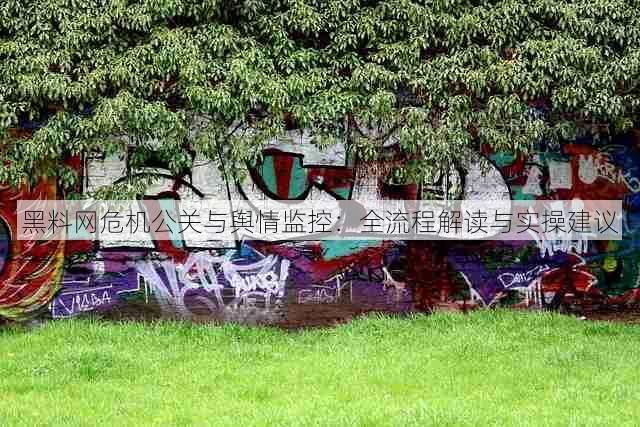 黑料网危机公关与舆情监控:全流程解读与实操建议