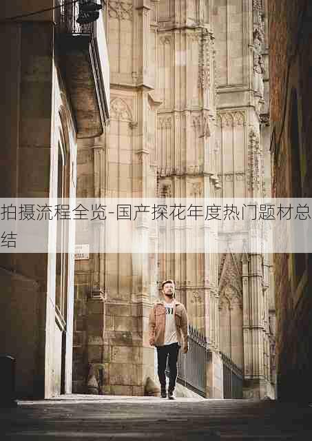 拍摄流程全览-国产探花年度热门题材总结