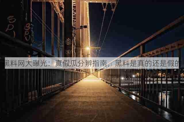 黑料网大曝光:真假瓜分辨指南,黑料是真的还是假的
