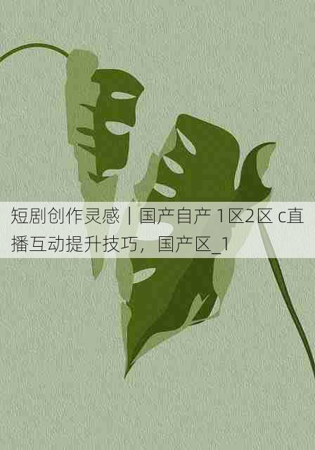 短剧创作灵感|国产自产 1区2区 c直播互动提升技巧,国产区_1