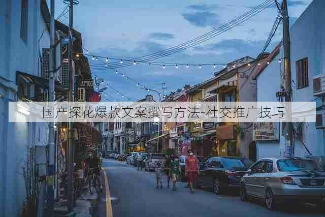 国产探花爆款文案撰写方法-社交推广技巧