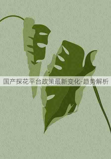 国产探花平台政策最新变化-趋势解析