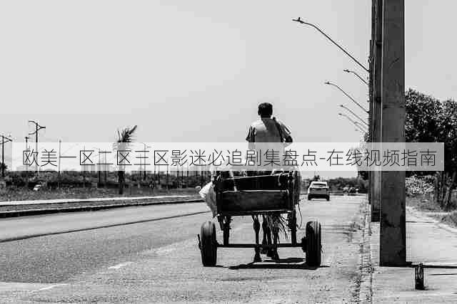 欧美一区二区三区影迷必追剧集盘点-在线视频指南