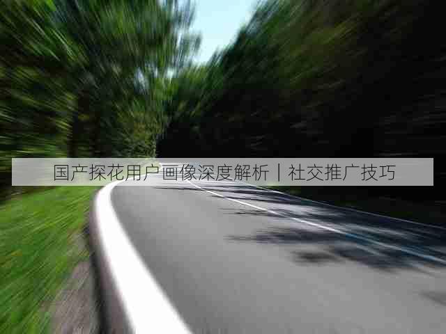 国产探花用户画像深度解析|社交推广技巧