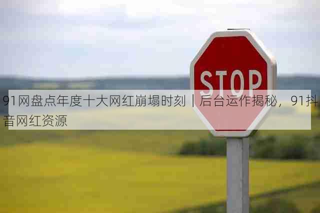 91网盘点年度十大网红崩塌时刻|后台运作揭秘,91抖音网红资源