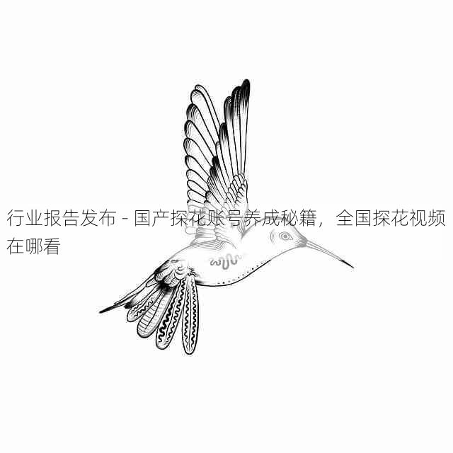 行业报告发布 - 国产探花账号养成秘籍，全国探花视频在哪看