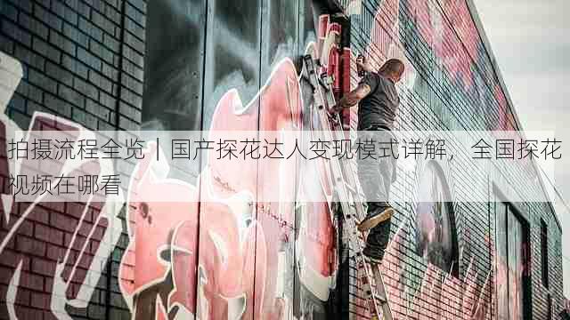 拍摄流程全览|国产探花达人变现模式详解,全国探花视频在哪看