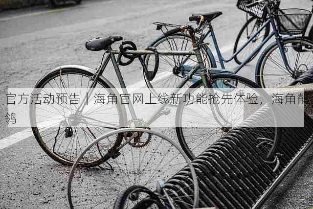 官方活动预告|海角官网上线新功能抢先体验,海角鹡鸰