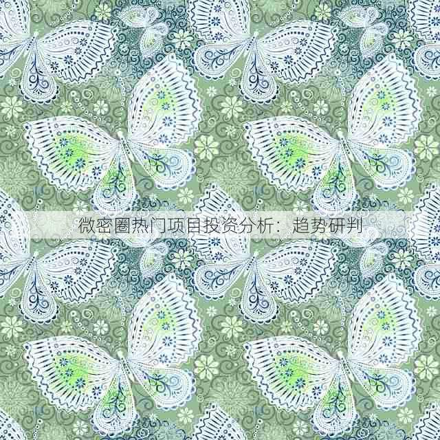 微密圈热门项目投资分析:趋势研判