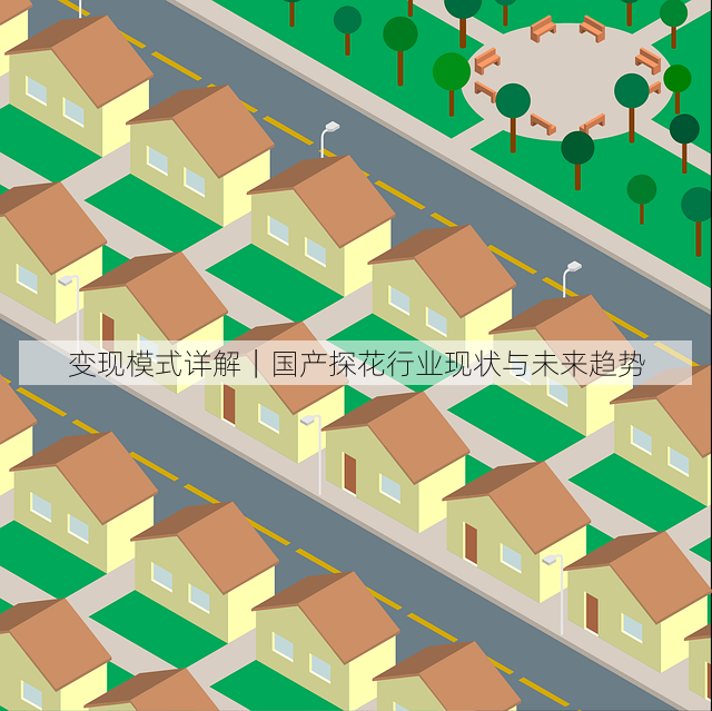 变现模式详解|国产探花行业现状与未来趋势