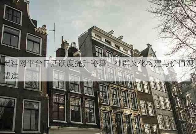 黑料网平台日活跃度提升秘籍:社群文化构建与价值观塑造